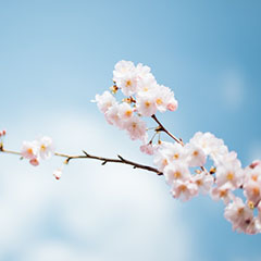 Featured Work 2